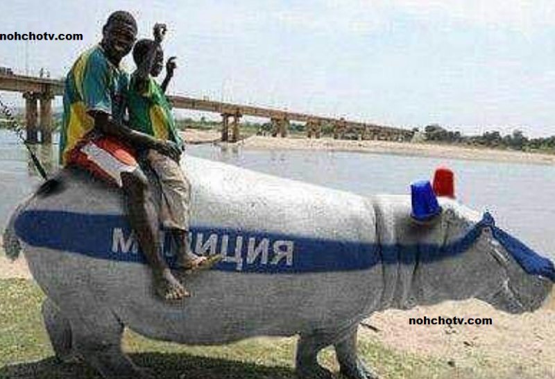 Прикольный Бегемот