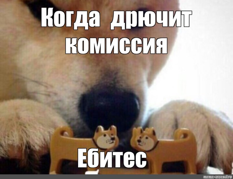 Сиба ину Мем ебитес