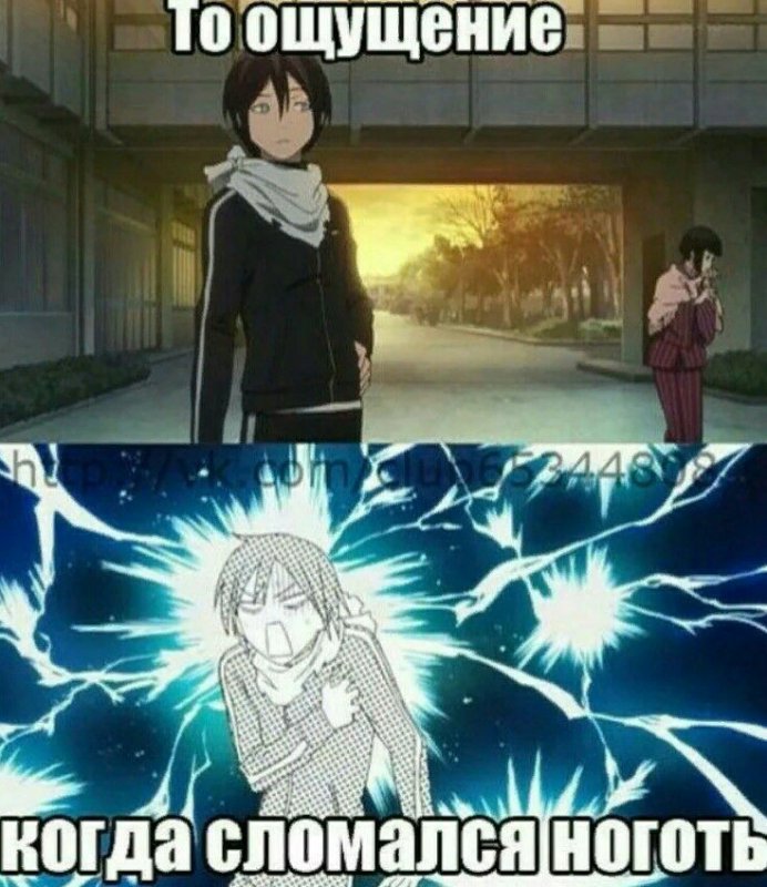 Бездомный Бог аниме смешные