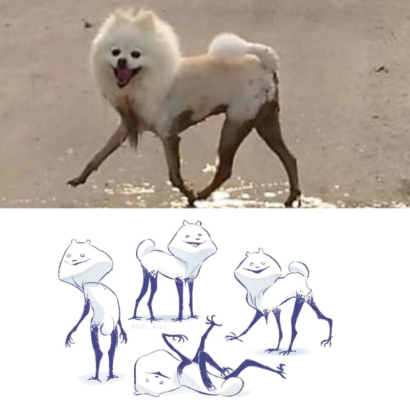 Криповый шпиц