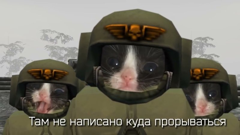 На прорыв вархаммер