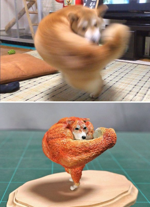 Животные из мемов