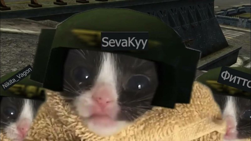 Комиссар вархаммер вперед собаки