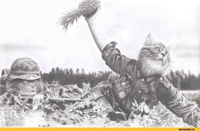 С котятами в атаку