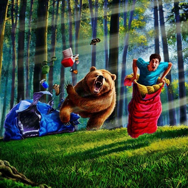 Медведь бежит за человеком