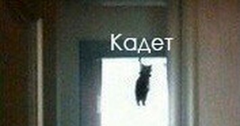 Кот повесился