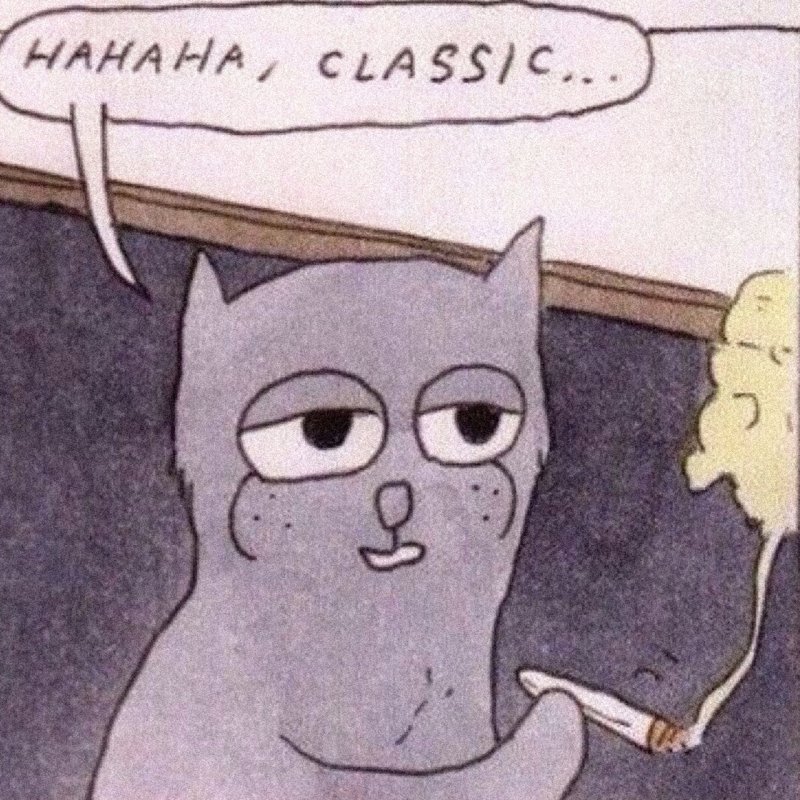 Мемы с котиками