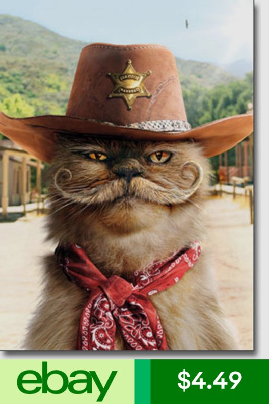 Кот в ковбойской шляпе