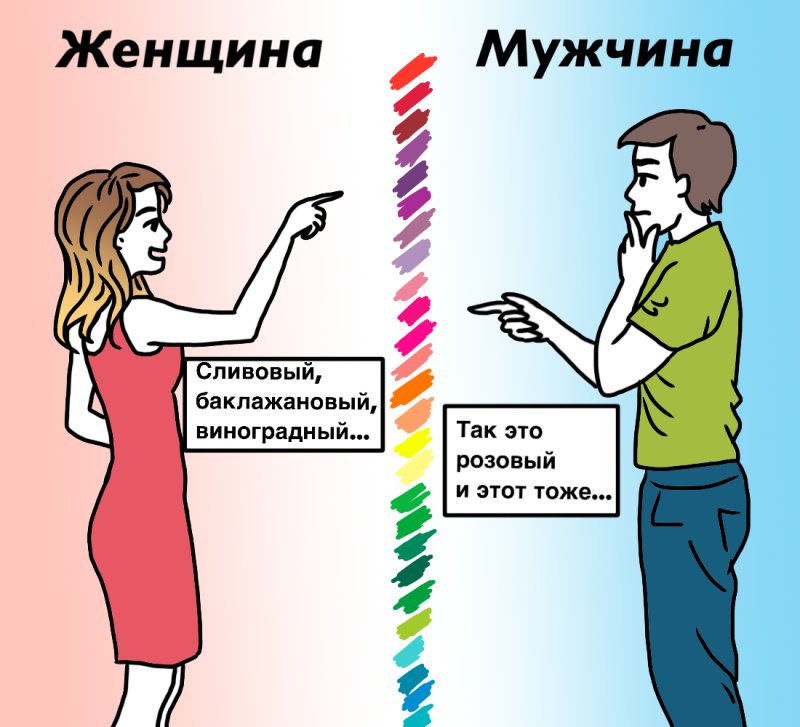 Разница между мужчинамииженщина