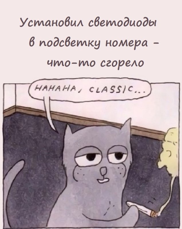 Классика Мем кот