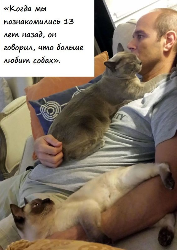 Отец который не хотел кота Мем