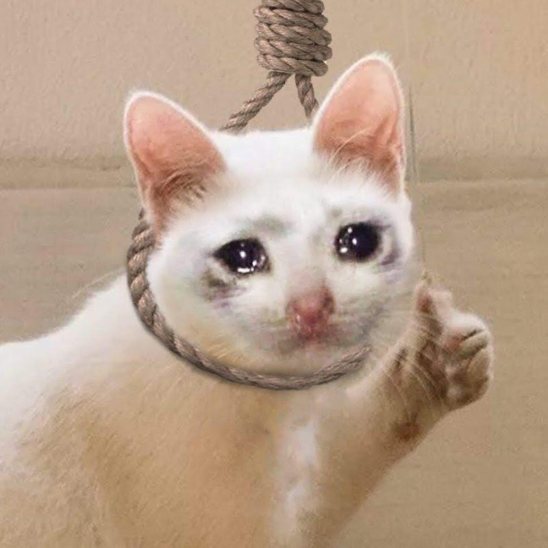 Ревущий кот