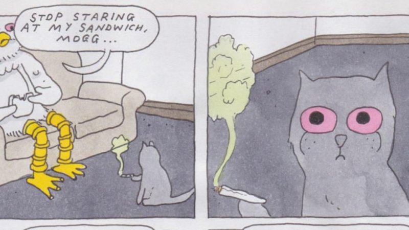 Ха ха классика кот