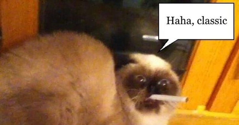 Игорь Бучнев Красноярск