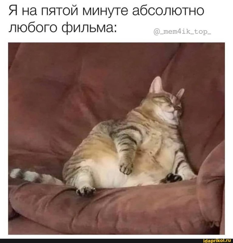 Я устал уставать от усталости кот