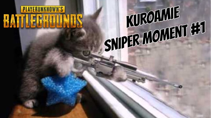 Котенок стреляет