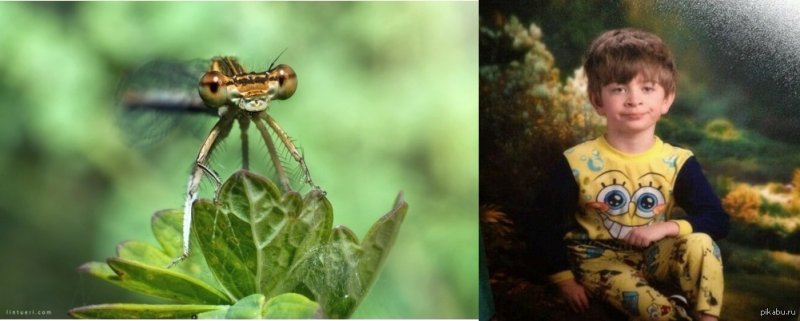 Мальчик в футболке Спанч Боб