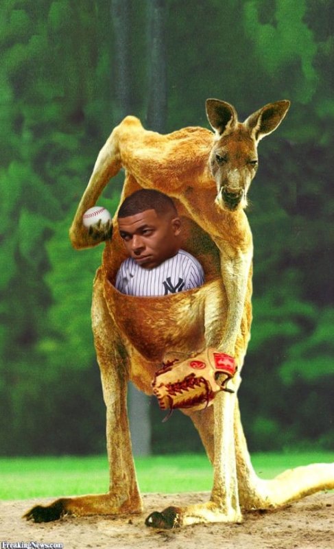 Кенгуру и человек