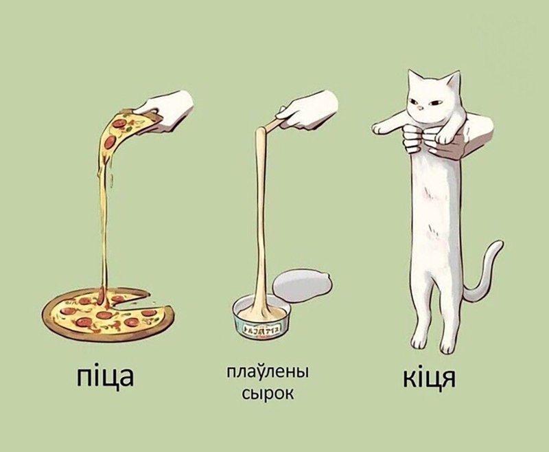 Длинный кот Мем