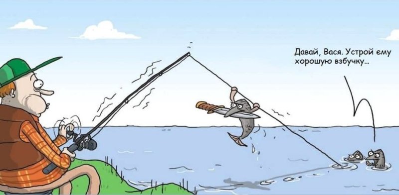 Шутки про рыбалку