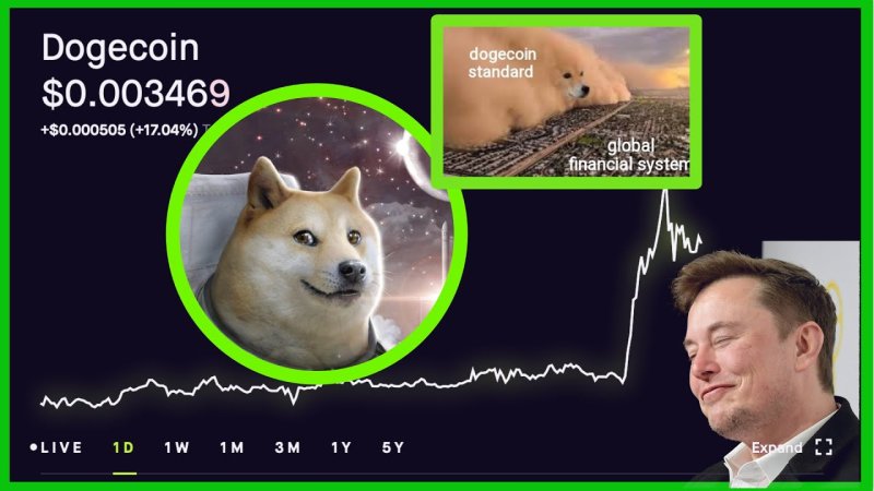 Илон Маск криптовалюта Dogecoin