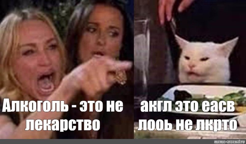 Мем с котом и двумя женщинами