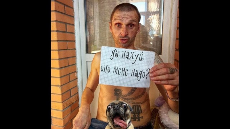 Дима Полетаев Мопс дядя пес