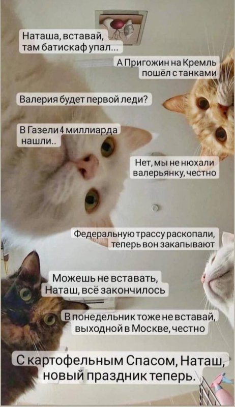 Мем Наташа вставай