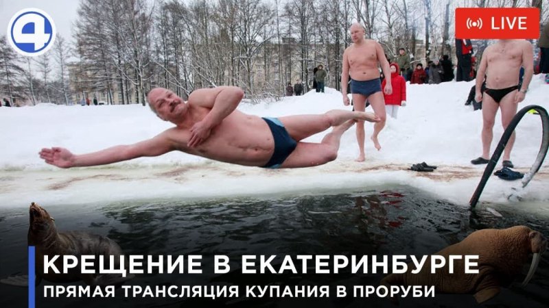 Купание в проруби прикол