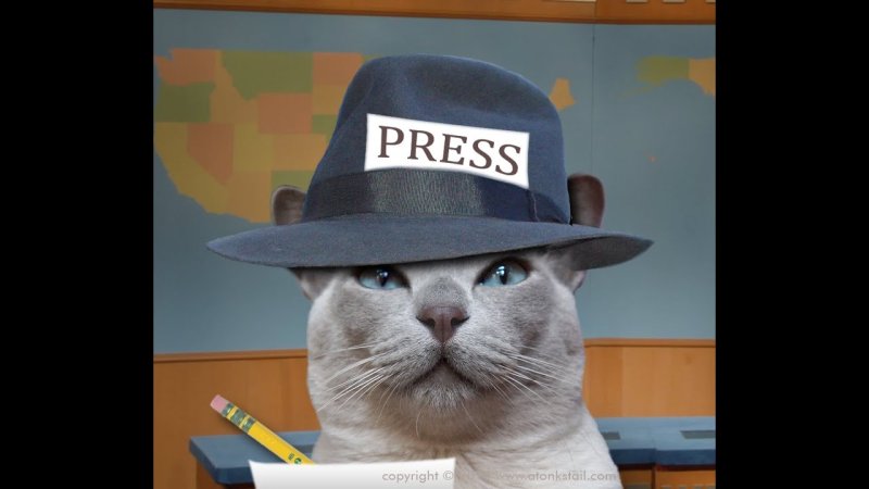 Журналист Мем