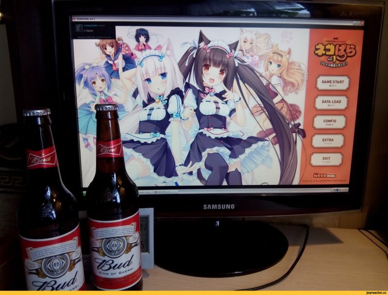 Аниме тян с пивом