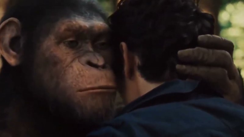 Обезьяна шепчет на ухо