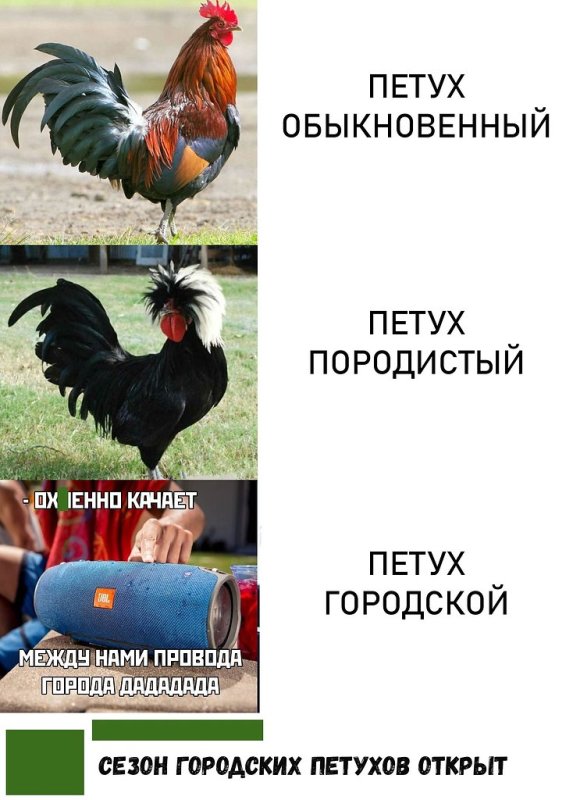 Петух Мем