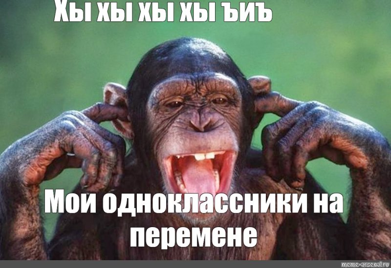 Смешные обезьяны мемы