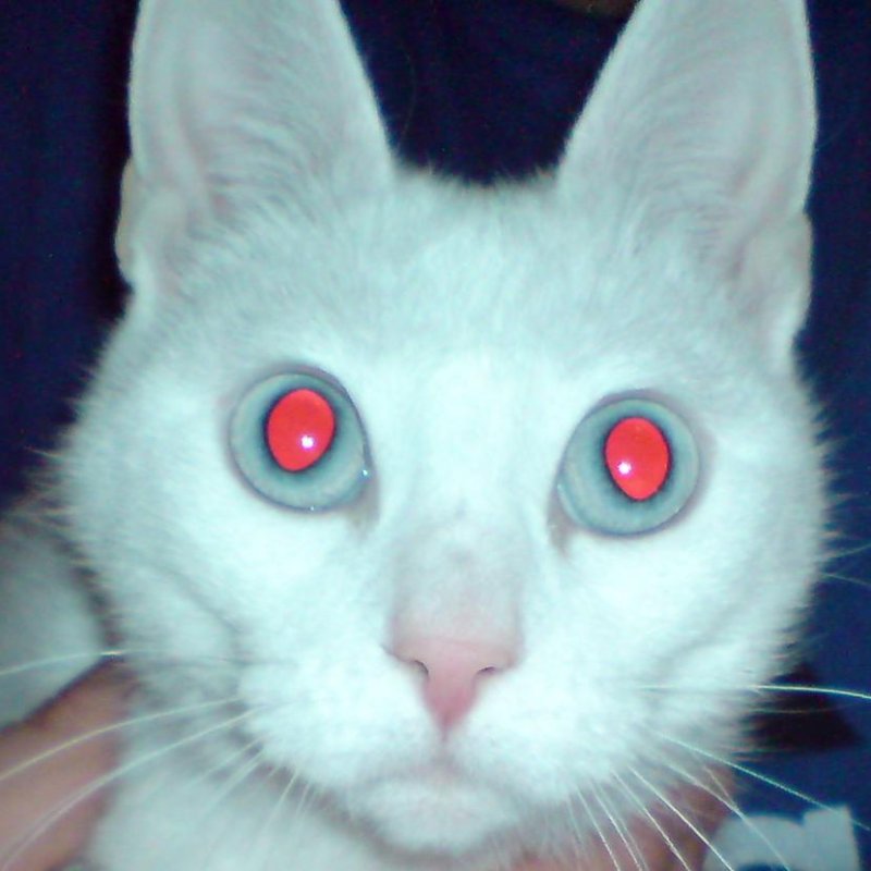 Фотография с эффектом красных глаз