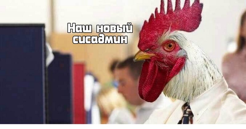 Петушок Мем