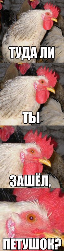 Петушки Мем