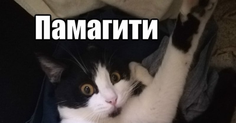 Помогите Мем