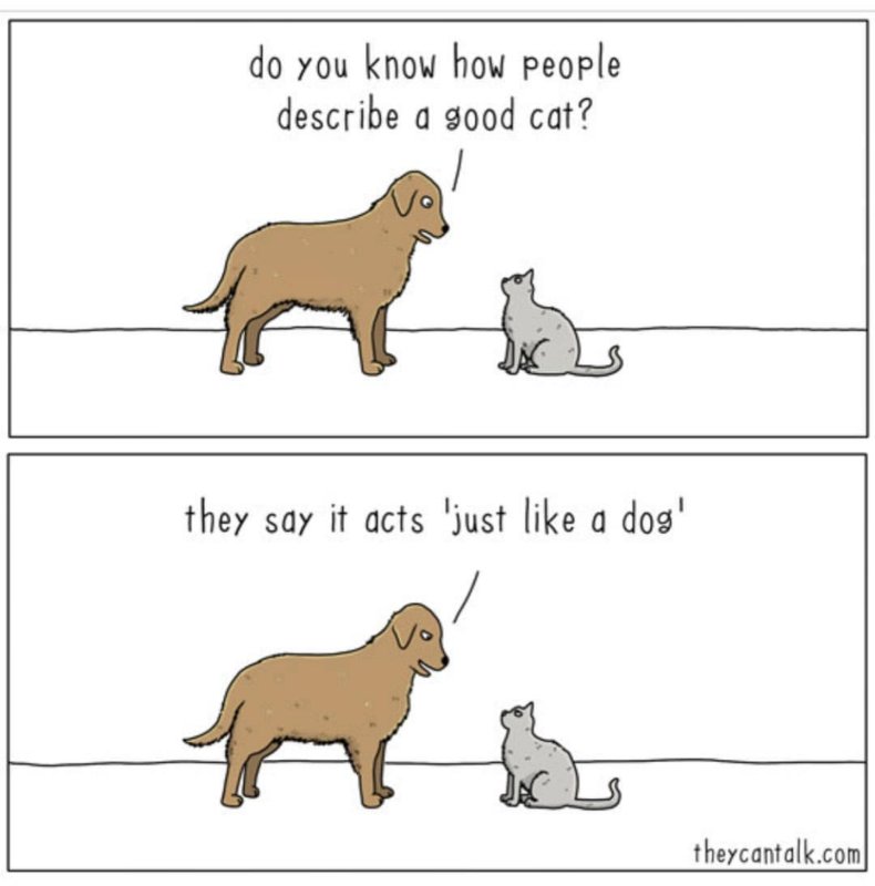 Мемы про собак и кошек