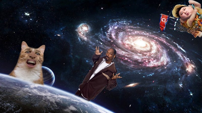 Космический кот