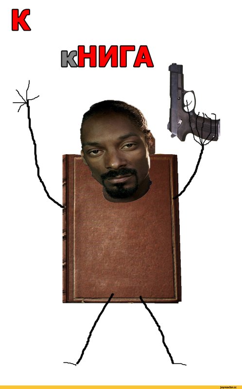 Нигер книга