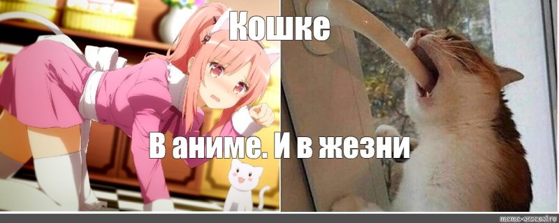 Аниме неко мемы