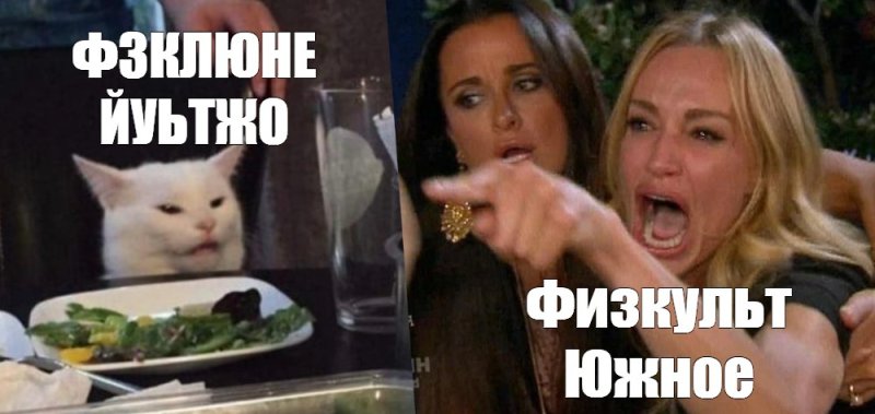 Мем с котом за столом