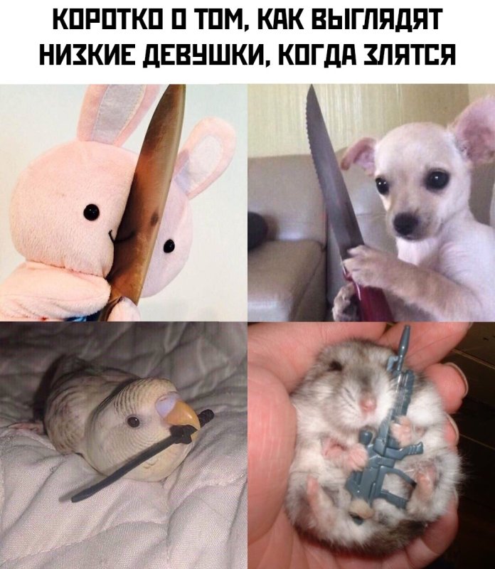 Как выглядят девушки когда зоятьчя