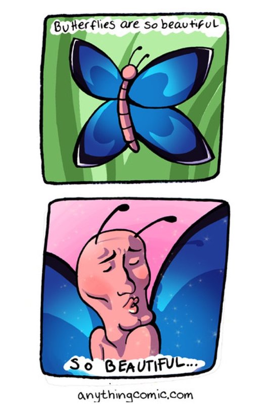 Бабочка прикол