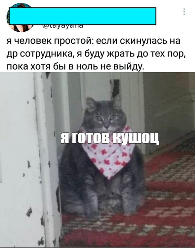 Неси кушать кот Мем