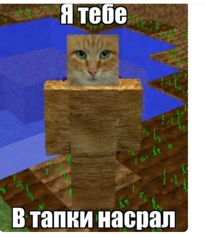 Кот из МАЙНКРАФТА