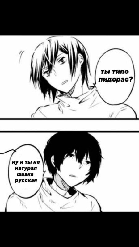 Бродячие собаки