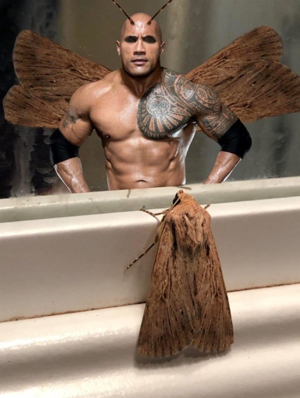 Человек мотылек