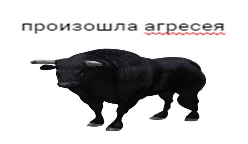 Произошла агрессия